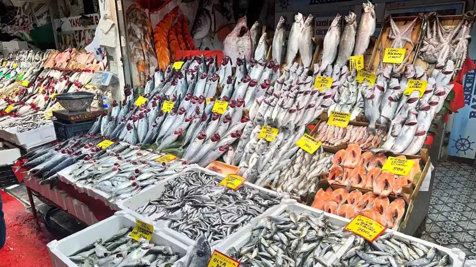 Palamut Bolluğu Yerini Çinekop Ve Hamsiye Bıraktı