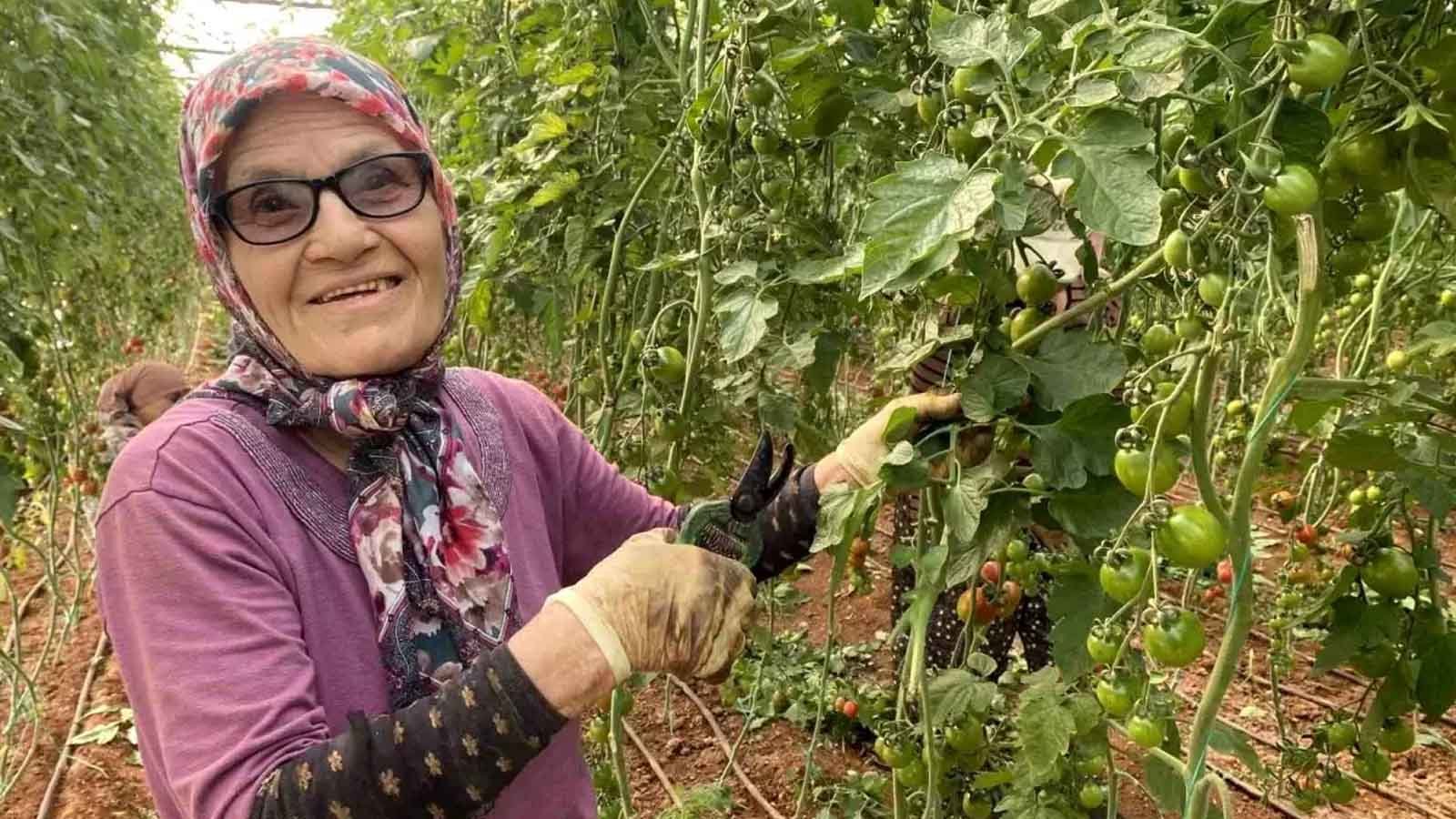 Sevim Palas “akıllı Kadınım, Ne İş Verirlerse Öğrenip Yapıyorum”